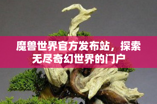 魔兽世界官方发布站，探索无尽奇幻世界的门户