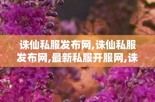 诛仙私服发布网,诛仙私服发布网,最新私服开服网,诛仙私服发布网