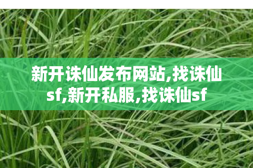 新开诛仙发布网站,找诛仙sf,新开私服,找诛仙sf