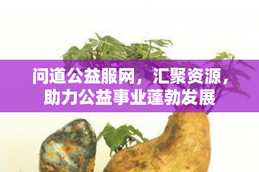 问道公益服网，汇聚资源，助力公益事业蓬勃发展