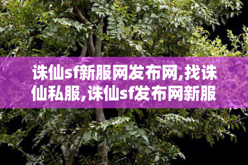 诛仙sf新服网发布网,找诛仙私服,诛仙sf发布网新服,找诛仙私服