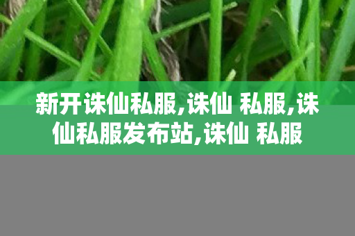 新开诛仙私服,诛仙 私服,诛仙私服发布站,诛仙 私服