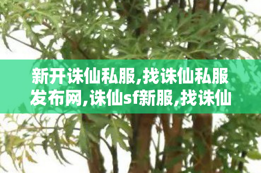 新开诛仙私服,找诛仙私服发布网,诛仙sf新服,找诛仙私服发布网
