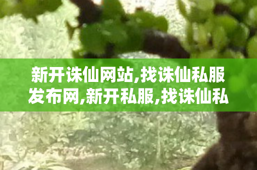 新开诛仙网站,找诛仙私服发布网,新开私服,找诛仙私服发布网