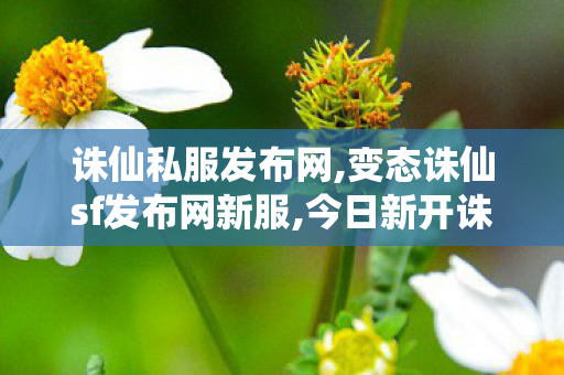 诛仙私服发布网,变态诛仙sf发布网新服,今日新开诛仙sf,变态诛仙sf发布网新服