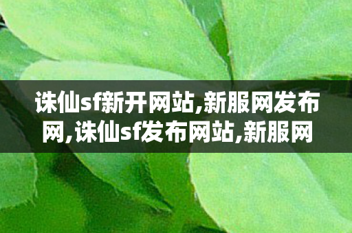 诛仙sf新开网站,新服网发布网,诛仙sf发布网站,新服网发布网