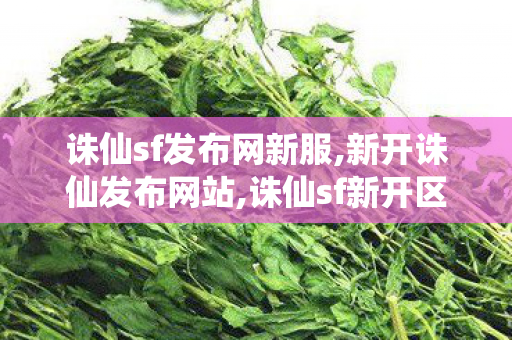 诛仙sf发布网新服,新开诛仙发布网站,诛仙sf新开区网站,新开诛仙发布网站
