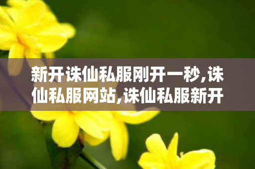 新开诛仙私服刚开一秒,诛仙私服网站,诛仙私服新开服,诛仙私服网站