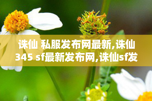 诛仙 私服发布网最新,诛仙345 sf最新发布网,诛仙sf发布网,诛仙345 sf最新发布网