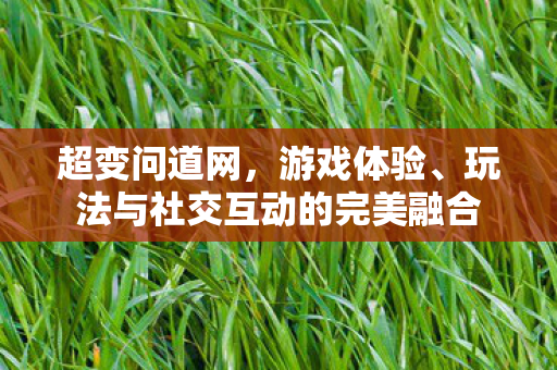 超变问道网，游戏体验、玩法与社交互动的完美融合