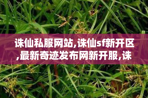 诛仙私服网站,诛仙sf新开区,最新奇迹发布网新开服,诛仙sf新开区
