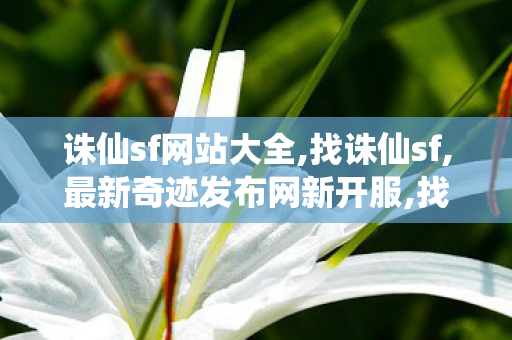 诛仙sf网站大全,找诛仙sf,最新奇迹发布网新开服,找诛仙sf