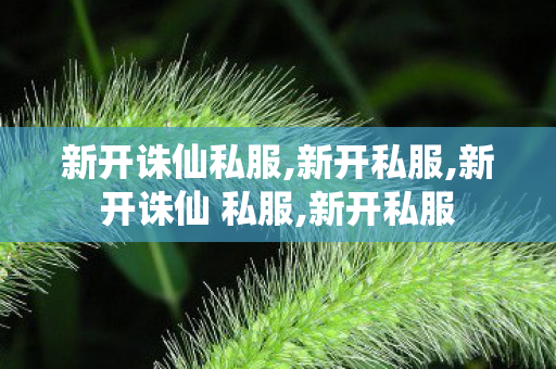 新开诛仙私服,新开私服,新开诛仙 私服,新开私服