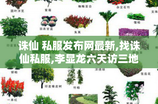 诛仙 私服发布网最新,找诛仙私服,李显龙六天访三地 想和中方谈什么,找诛仙私服
