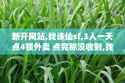 新开网站,找诛仙sf,3人一天点4顿外卖 点完称没收到,找诛仙sf