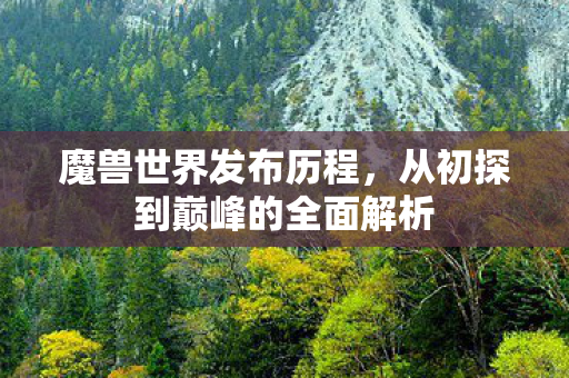 魔兽世界发布历程，从初探到巅峰的全面解析
