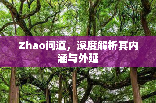 Zhao问道，深度解析其内涵与外延