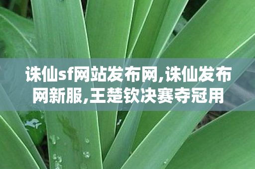 诛仙sf网站发布网,诛仙发布网新服,王楚钦决赛夺冠用时不到30分钟,诛仙发布网新服