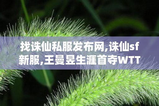 找诛仙私服发布网,诛仙sf新服,王曼昱生涯首夺WTT总决赛女单冠军,诛仙sf新服