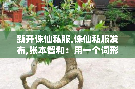 新开诛仙私服,诛仙私服发布,张本智和：用一个词形容就是完败,诛仙私服发布