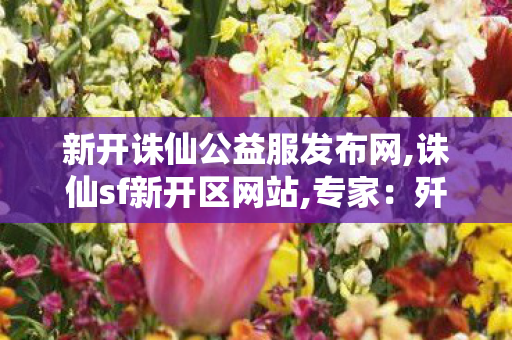 新开诛仙公益服发布网,诛仙sf新开区网站,专家：歼35集成大量黑科技,诛仙sf新开区网站