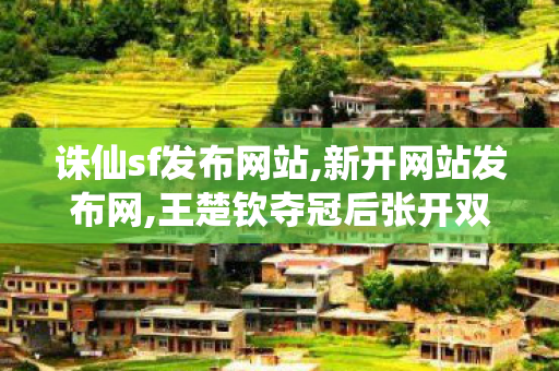 诛仙sf发布网站,新开网站发布网,王楚钦夺冠后张开双臂庆祝,新开网站发布网