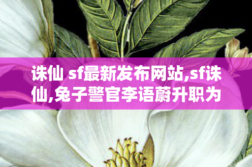 诛仙 sf最新发布网站,sf诛仙,兔子警官李语蔚升职为四级辅警,sf诛仙