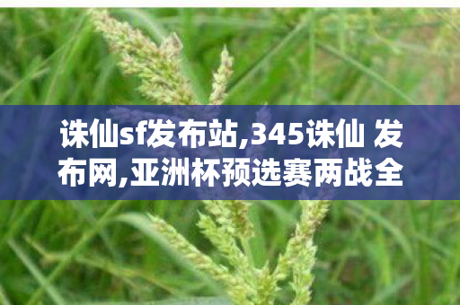 诛仙sf发布站,345诛仙 发布网,亚洲杯预选赛两战全胜 中国篮协发文,345诛仙 发布网