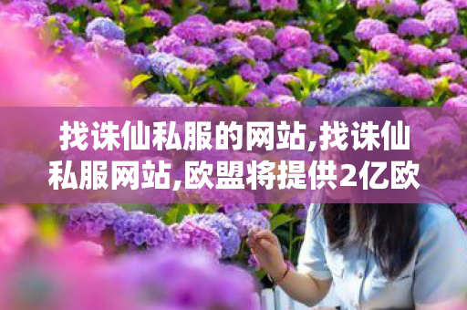 找诛仙私服的网站,找诛仙私服网站,欧盟将提供2亿欧元支持黎巴嫩军队,找诛仙私服网站