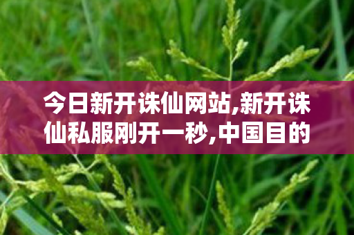 今日新开诛仙网站,新开诛仙私服刚开一秒,中国目的地搜索热度暴涨,新开诛仙私服刚开一秒
