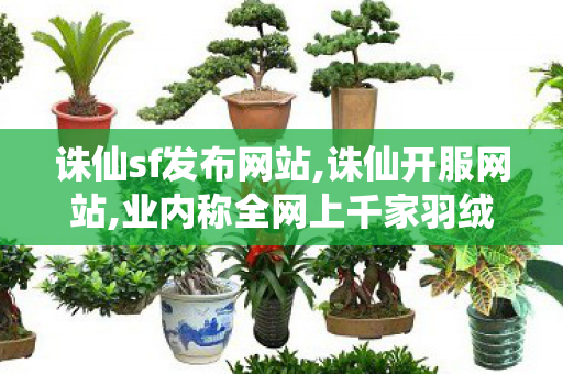 诛仙sf发布网站,诛仙开服网站,业内称全网上千家羽绒服掺假售假,诛仙开服网站