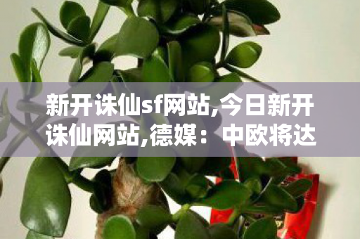 新开诛仙sf网站,今日新开诛仙网站,德媒：中欧将达成电动汽车关税协议,今日新开诛仙网站