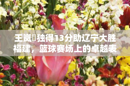王岚嵚独得13分助辽宁大胜福建，篮球赛场上的卓越表现