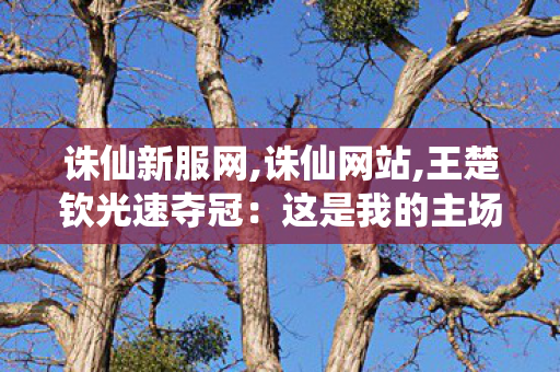 诛仙新服网,诛仙网站,王楚钦光速夺冠：这是我的主场,诛仙网站