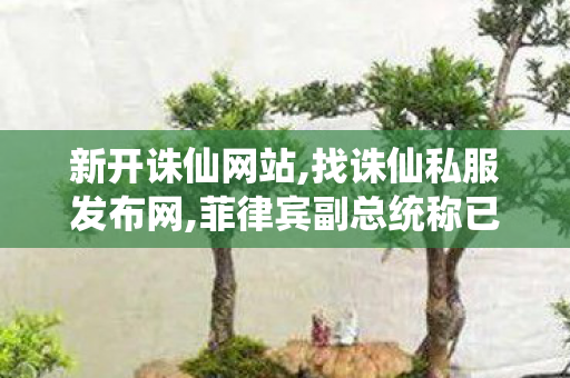 新开诛仙网站,找诛仙私服发布网,菲律宾副总统称已安排杀手,找诛仙私服发布网