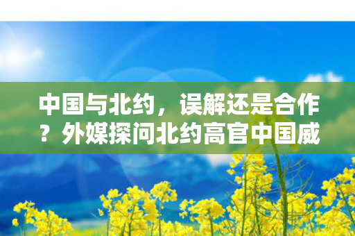 中国与北约，误解还是合作？外媒探问北约高官中国威胁论真相