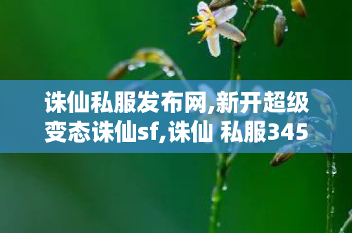 诛仙私服发布网,新开超级变态诛仙sf,诛仙 私服345最新发布网站,新开超级变态诛仙sf