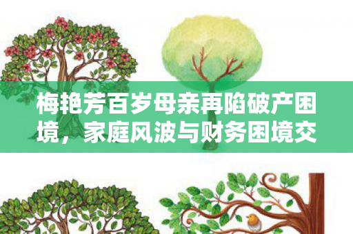 梅艳芳百岁母亲再陷破产困境，家庭风波与财务困境交织