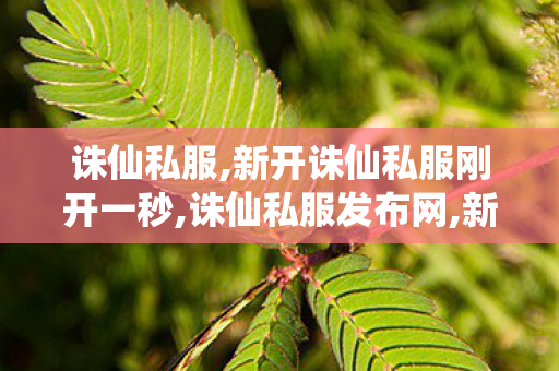 诛仙私服,新开诛仙私服刚开一秒,诛仙私服发布网,新开诛仙私服刚开一秒