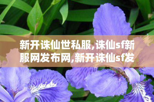 新开诛仙世私服,诛仙sf新服网发布网,新开诛仙sf发布网,诛仙sf新服网发布网