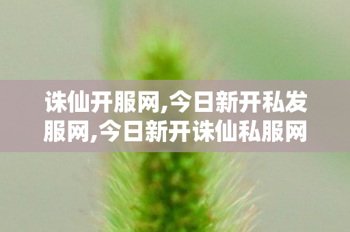 诛仙开服网,今日新开私发服网,今日新开诛仙私服网站,今日新开私发服网