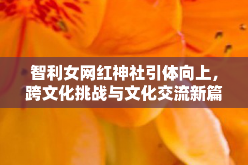 智利女网红神社引体向上，跨文化挑战与文化交流新篇章