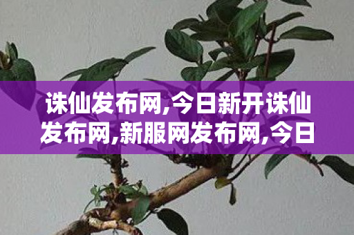 诛仙发布网,今日新开诛仙发布网,新服网发布网,今日新开诛仙发布网