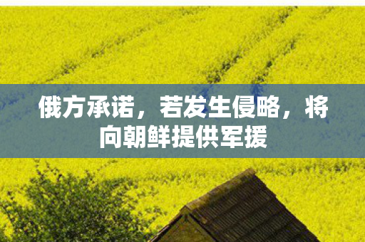 俄方承诺，若发生侵略，将向朝鲜提供军援