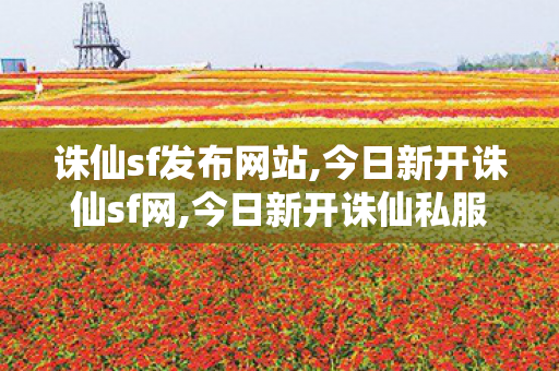 诛仙sf发布网站,今日新开诛仙sf网,今日新开诛仙私服网站,今日新开诛仙sf网