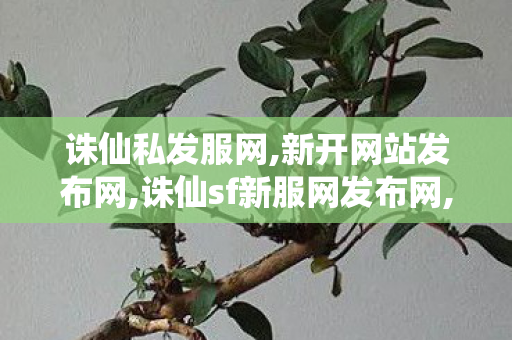 诛仙私发服网,新开网站发布网,诛仙sf新服网发布网,新开网站发布网