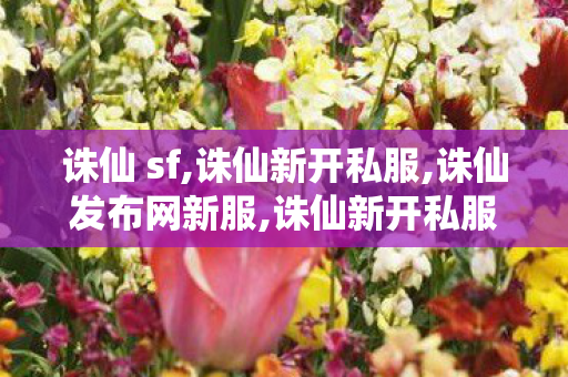 诛仙 sf,诛仙新开私服,诛仙发布网新服,诛仙新开私服