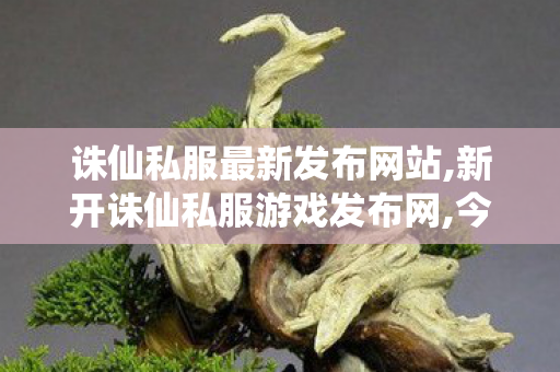 诛仙私服最新发布网站,新开诛仙私服游戏发布网,今日新开诛仙sf,新开诛仙私服游戏发布网
