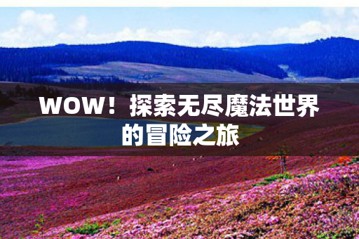 WOW！探索无尽魔法世界的冒险之旅
