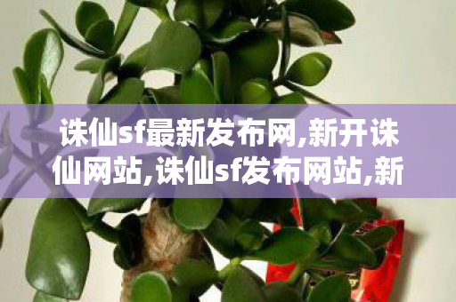 诛仙sf最新发布网,新开诛仙网站,诛仙sf发布网站,新开诛仙网站